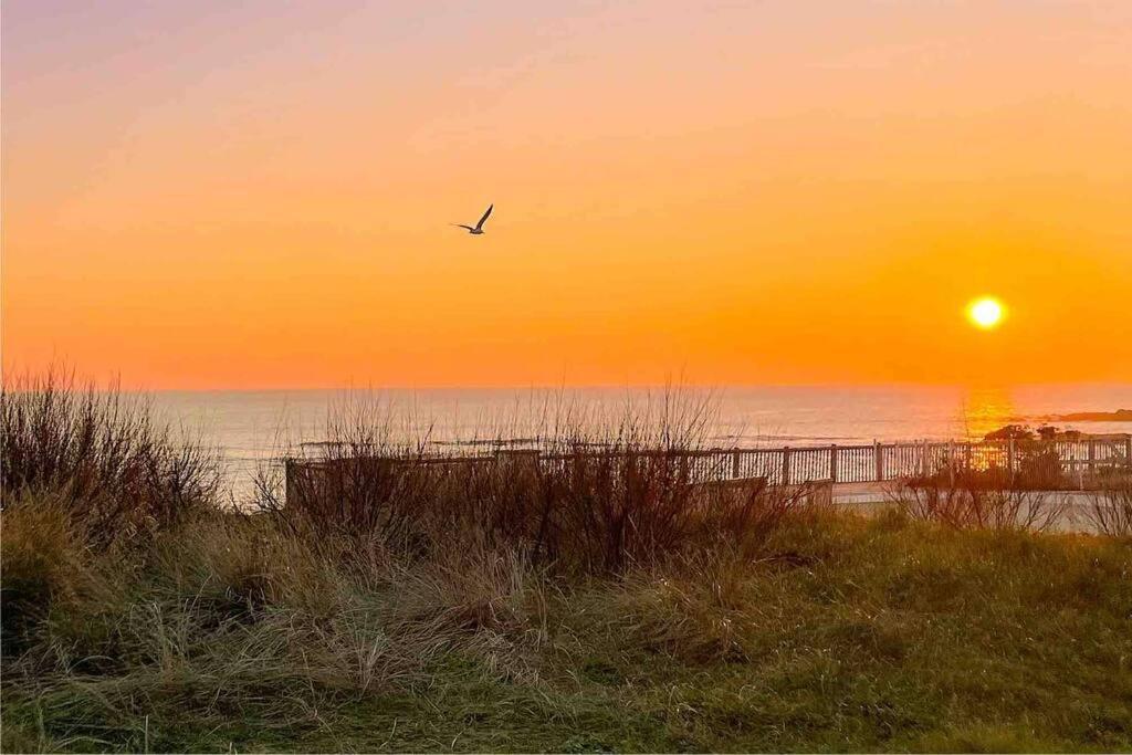 Unique ! Acces Direct A La Plage ! Duplex Avec Grand Solarium Batz-sur-Mer Bagian luar foto