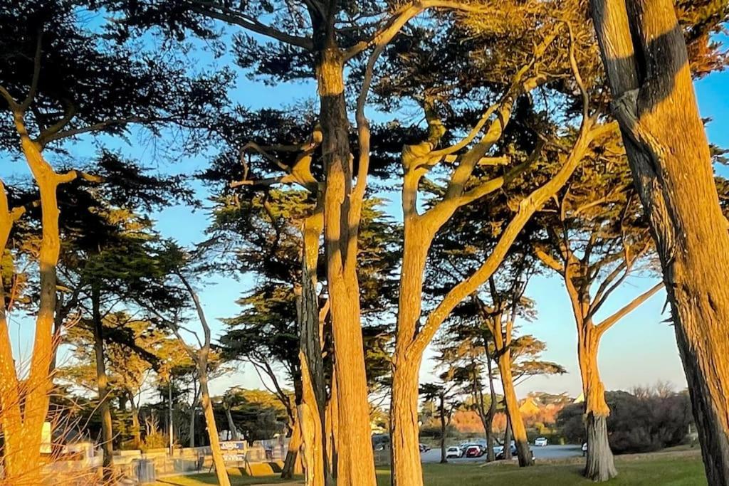 Unique ! Acces Direct A La Plage ! Duplex Avec Grand Solarium Batz-sur-Mer Bagian luar foto